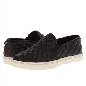 Steve Madden Black Ecentrcq Shoes
